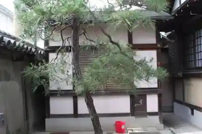 地蔵院(京都府)