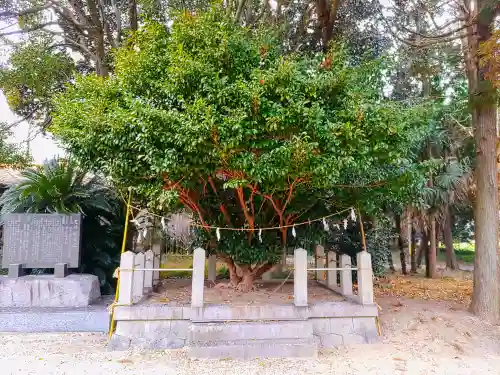 村高天神社の自然