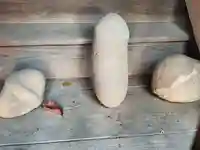 石原賀茂神社(群馬県)