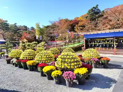 宮八幡神社(福島県)