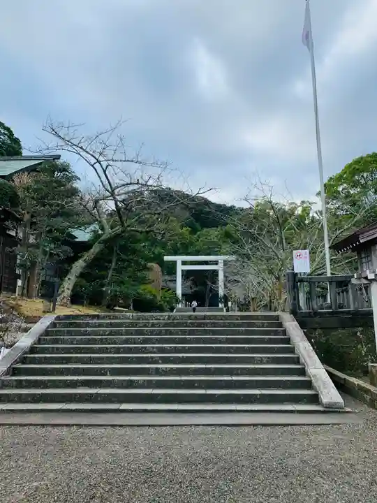 安房神社(千葉県)