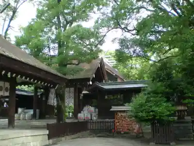 和泉國一之宮　大鳥大社の本殿・本堂