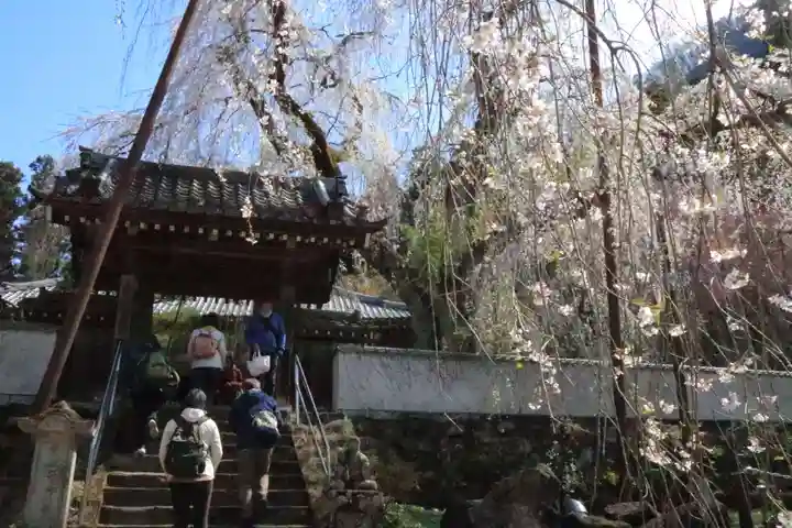 清雲寺(埼玉県)