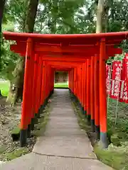 多賀大社の鳥居