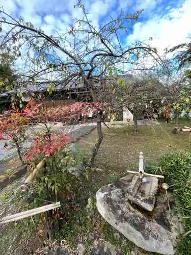 梅宮神社(滋賀県)