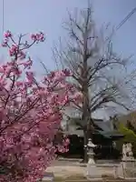 賀羅加波神社の庭園