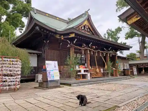 鳩ヶ谷氷川神社の本殿