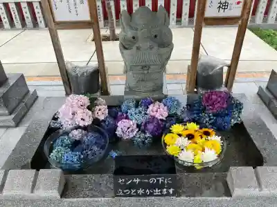 新川皇大神社(北海道)