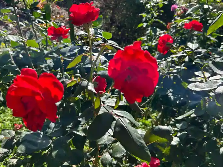 和合神社(福井県)