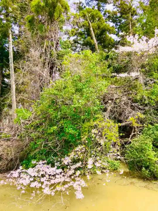 真城院(千葉県)