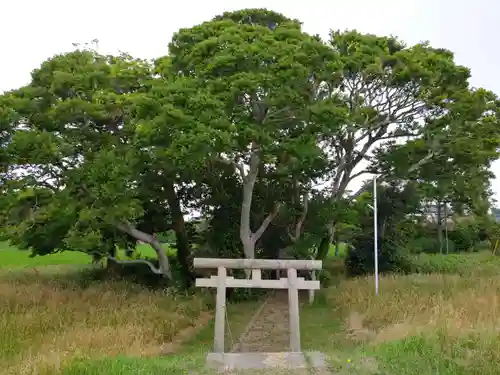 神社(名称不明)の鳥居