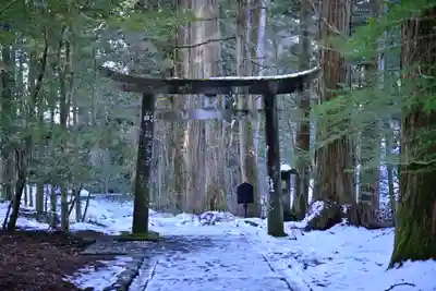 瀧尾神社（日光二荒山神社別宮）の鳥居