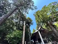 矢彦神社(長野県)