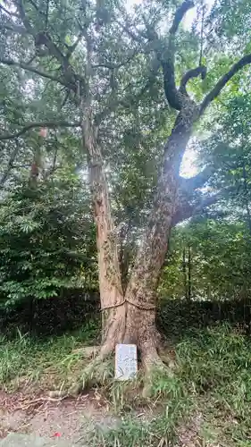 亀山八幡神社(三重県)