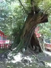 香取神宮の自然