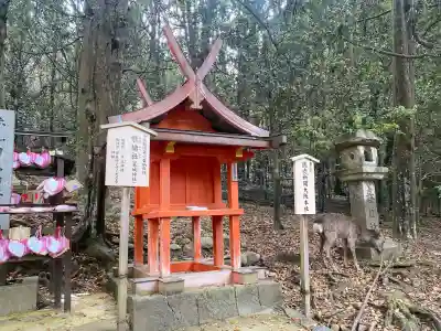 葛城神社の{uncategorized: "未分類", other: "その他", undefined: "問題あり", building: "その他建物", grave: "お墓", sacred_gate: "鳥居", guardian: "狛犬", statue: "像", buddha: "仏像", history: "歴史", nature: "自然", garden: "庭園", animal: "動物", pagoda: "塔", temizu: "手水舎", mountain_gate: "山門・神門", sanctuary: "本殿・本堂", subordinate: "末社・摂社", art: "芸術", scenery: "景色", jizo: "地蔵", ema: "絵馬", goshuin: "御朱印", omikuji: "おみくじ", items: "授与品その他", amulet: "お守り", goshuincho: "御朱印帳", eats: "食事", festival: "お祭り", votive_dance: "神楽", shichigosan: "七五三参", wedding: "結婚式", experience: "体験その他", initially: "初詣", around: "周辺", anti_infection: "感染症対策"}
