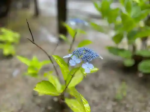 伊勢の国 四天王寺の自然