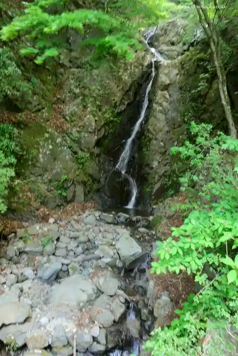 大山阿夫利神社本社の自然
