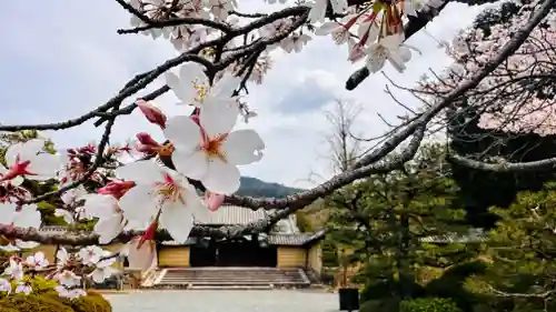 隨心院の御朱印