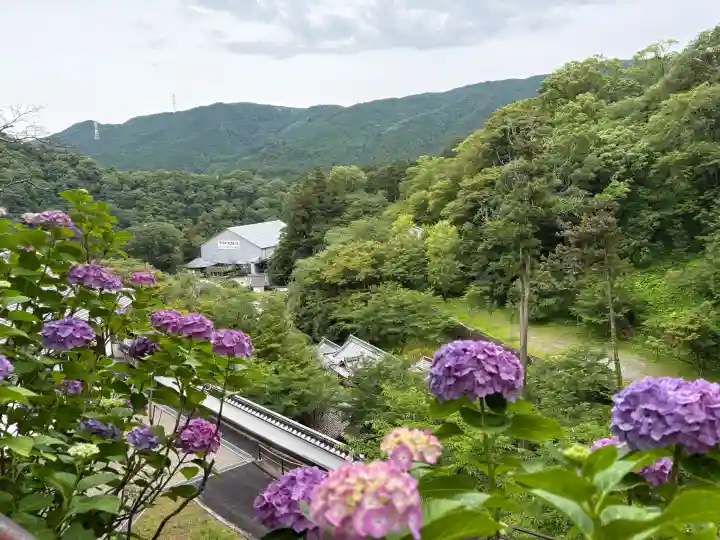 長谷寺(奈良県)