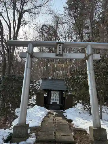 金刀比羅神社の{uncategorized: "未分類", other: "その他", undefined: "問題あり", building: "その他建物", grave: "お墓", sacred_gate: "鳥居", guardian: "狛犬", statue: "像", buddha: "仏像", history: "歴史", nature: "自然", garden: "庭園", animal: "動物", pagoda: "塔", temizu: "手水舎", mountain_gate: "山門・神門", sanctuary: "本殿・本堂", subordinate: "末社・摂社", art: "芸術", scenery: "景色", jizo: "地蔵", ema: "絵馬", goshuin: "御朱印", omikuji: "おみくじ", items: "授与品その他", amulet: "お守り", goshuincho: "御朱印帳", eats: "食事", festival: "お祭り", votive_dance: "神楽", shichigosan: "七五三参", wedding: "結婚式", experience: "体験その他", initially: "初詣", around: "周辺", anti_infection: "感染症対策"}
