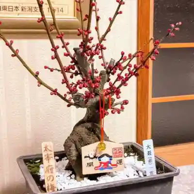 彌彦神社　(伊夜日子神社)の芸術