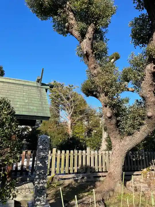 難波大社 生國魂神社の自然