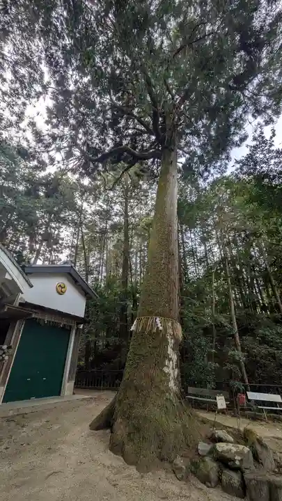 八大神社(京都府)