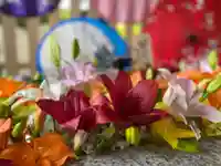 札幌諏訪神社の手水舎