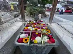 柳谷観音　楊谷寺(京都府)