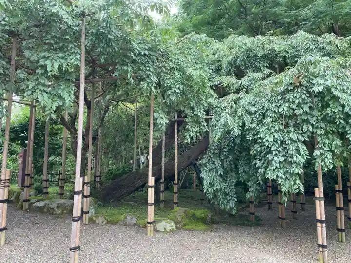 當麻寺 奥院(奈良県)
