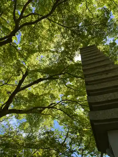 瓦屋寺(滋賀県)