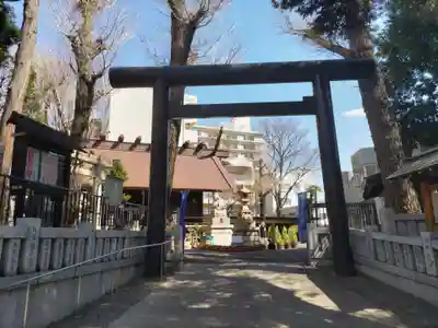 高円寺氷川神社の鳥居