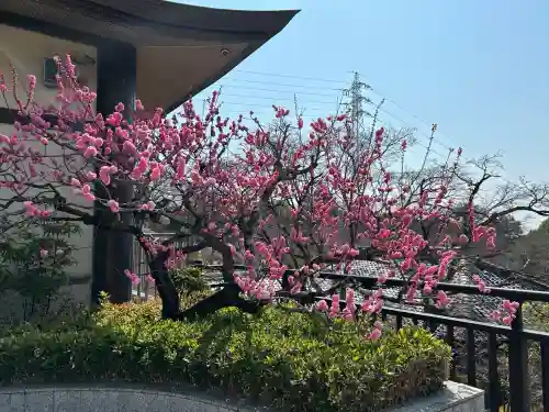 岩津天満宮の自然