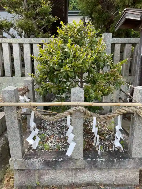 三田天満宮(兵庫県)