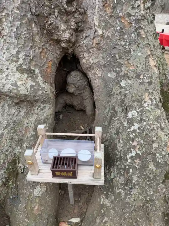 一言主神社の{uncategorized: "未分類", other: "その他", undefined: "問題あり", building: "その他建物", grave: "お墓", sacred_gate: "鳥居", guardian: "狛犬", statue: "像", buddha: "仏像", history: "歴史", nature: "自然", garden: "庭園", animal: "動物", pagoda: "塔", temizu: "手水舎", mountain_gate: "山門・神門", sanctuary: "本殿・本堂", subordinate: "末社・摂社", art: "芸術", scenery: "景色", jizo: "地蔵", ema: "絵馬", goshuin: "御朱印", omikuji: "おみくじ", items: "授与品その他", amulet: "お守り", goshuincho: "御朱印帳", eats: "食事", festival: "お祭り", votive_dance: "神楽", shichigosan: "七五三参", wedding: "結婚式", experience: "体験その他", initially: "初詣", around: "周辺", anti_infection: "感染症対策"}