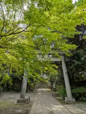 赤坂氷川神社(東京都)
