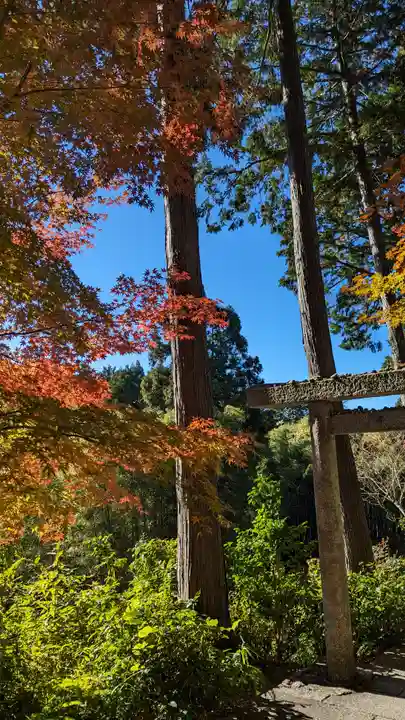 圓光寺(京都府)