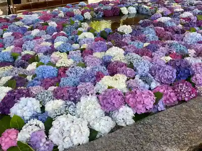 太宰府天満宮の手水舎