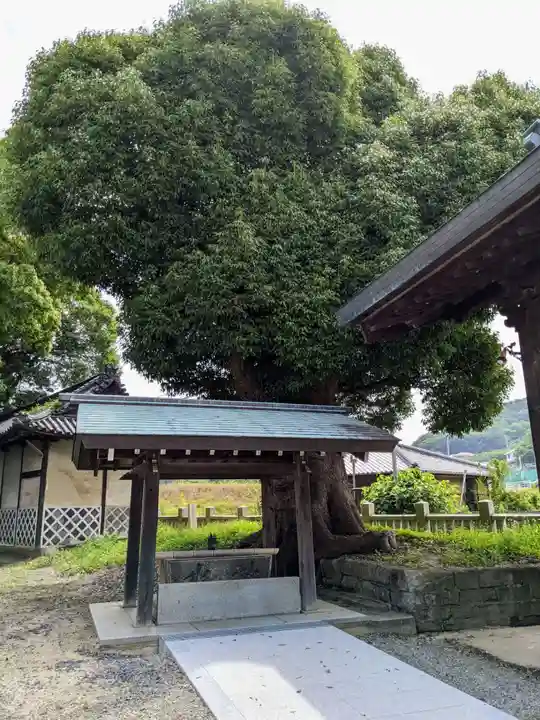 熊手八幡宮(香川県)