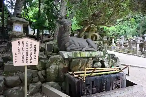 春日大社(奈良県)