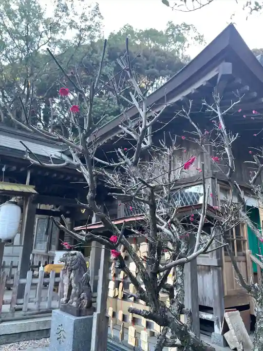 一宮神社の自然