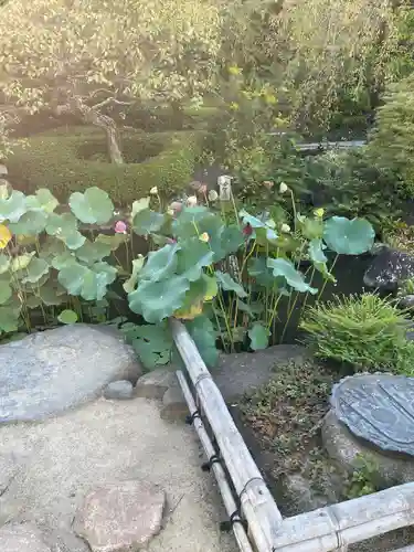 長谷寺(神奈川県)