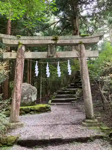 北口本宮冨士浅間神社の鳥居