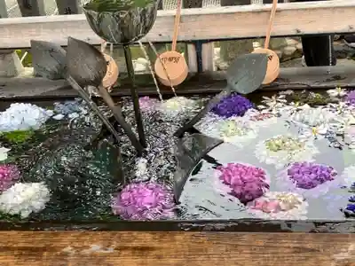 成田山名古屋別院大聖寺(犬山成田山)の手水舎