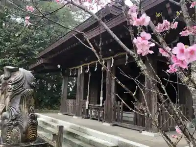 小戸神社の本殿・本堂