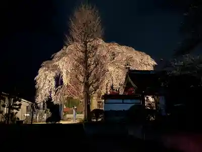 妙道寺(栃木県)