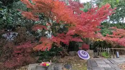 勝林寺(京都府)