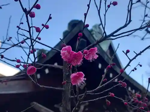 倉屋敷稲荷神社の自然