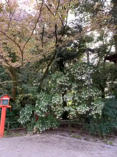 賀茂御祖神社（下鴨神社）(京都府)